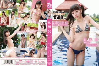DVD写真集 高岡未來 花風呂 Vol.2/高岡未來